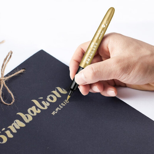 Lion Metal singular pen stroke hook paint pen DIY gold and silver signature marker hand-painted black card decorative metal singular pen soft head mixed color 5 MM681B