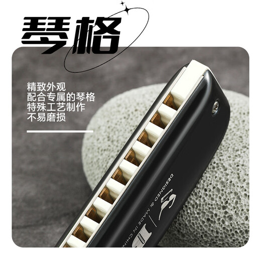 BoogieMAN Yuanyuan's same style Route 66 PADDY harmonica ten-hole blues adult children's blues harmonica 10-hole