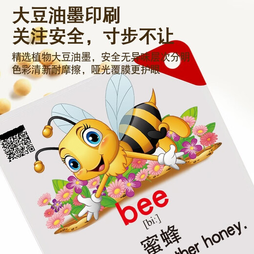 幼儿宝宝英语单词卡片幼儿启蒙0-3-6岁儿童早教玩具字母英文点读笔识字认知卡 WiFi智能点读笔+【1阶段4盒】精选922词
