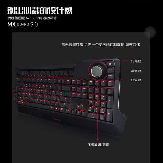 Cherry (CHERRY)MX9.0 G80-3980LYBEU-2 Mechanical Keyboard Wired Keyboard Gaming Keyboard Full Size RGB Backlight Black Cherry Red Shaft