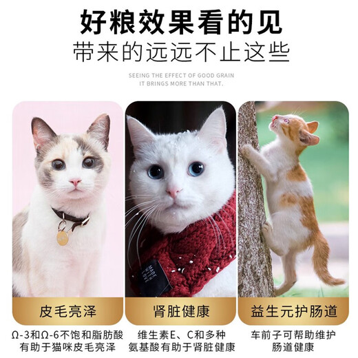Aier cat food to satisfy craving cats and kittens adult cats universal pet cat full price blue cat ragdoll English short cat food universal 1.5kg 3Jin [Jin equals 0.5kg]