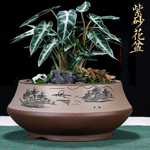 宜兴紫砂花盆陶瓷家用简约圆形大中小号口径种树盆景盆 693款碗盆红色小 配塑料托盘+沥水网
