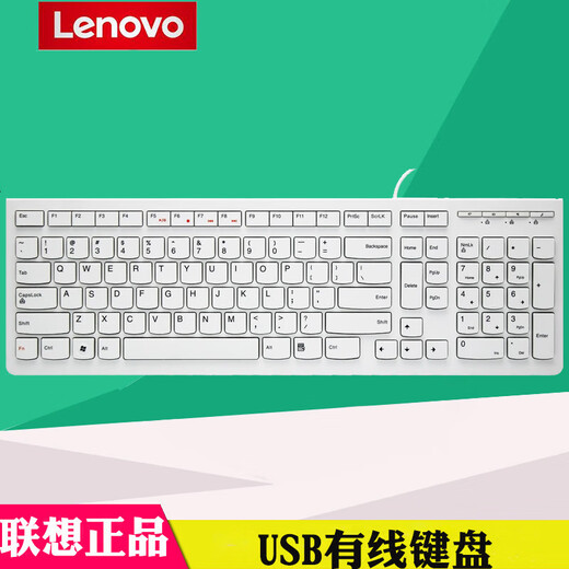 Lenovo K5819 Original Wired Keyboard USB Interface Laptop All-in-One Chocolate Office Desktop Silent Waterproof White (K5819)