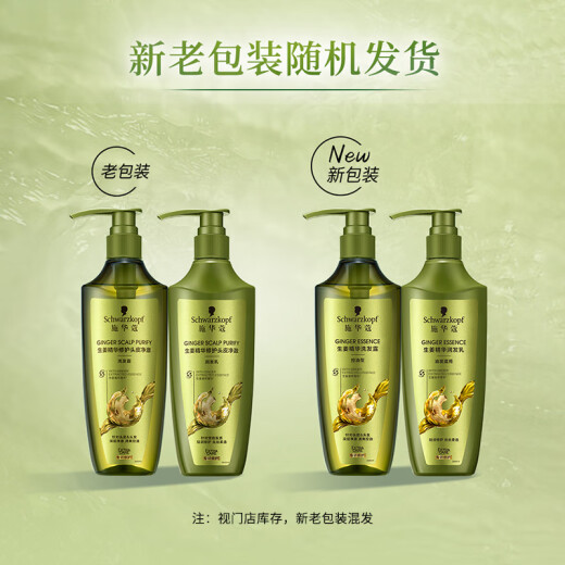 Schwarzkopf Ginger Essence Shampoo 400ml limpieza y control de aceite Flush y champú suave sin silicona champú sin silicona