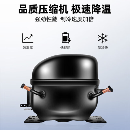 星星展示柜冷藏保鲜铜管双开门商用水果蔬菜大容量麻辣烫点菜饮料啤酒不锈钢冰箱冰柜 【热荐】双门铜管冷藏保鲜柜880升BC-980Y
