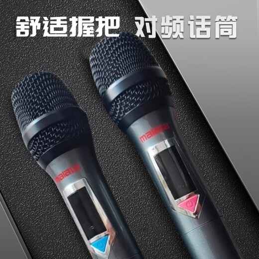 Malata Portable Square Dance Home Outdoor Performance Wireless Bluetooth Electric Acoustic Guitar Bass Folk Singing Instrument Speaker Subwoofer Conference Room