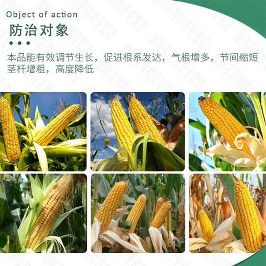 Guoguang Yubishi corn dwarf and abundant package amine fresh ethephon control growth and shrinkage growth regulator 55g*1 set 55g*5 set