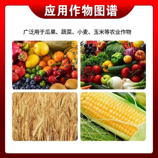 Agricultural potassium nitrate powder water-soluble fertilizer high nitrogen fruit tree vegetable grape strawberry foliar fertilizer high potassium fertilization 100g*10 pack