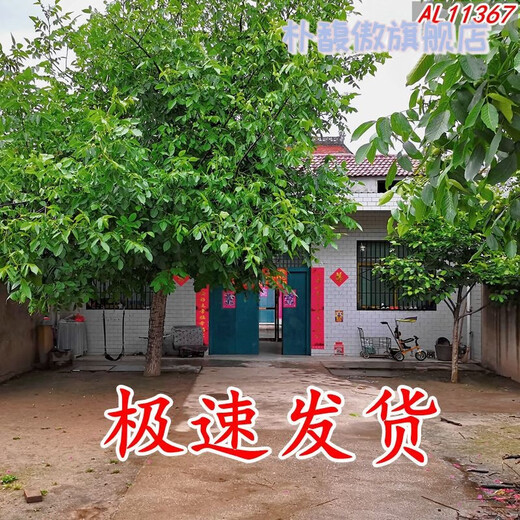 新直播背景视频直播间主播山水田园外景快手抖音网红背景布 11149 宽1.5米高2米
