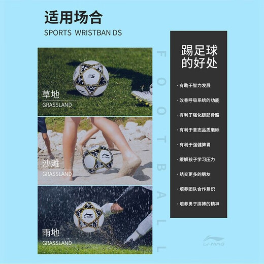李宁（lining） 足球5号4号成人儿童小学生专用球专业比赛户外训练标准用球 【695-1贴皮款】成人5号