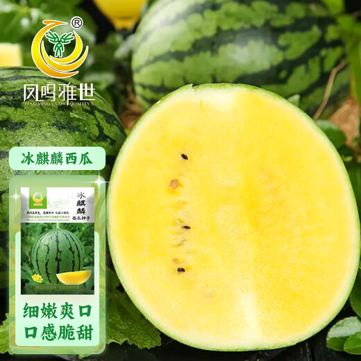 Fengming Yashi gift small watermelon seeds early maturing greenhouse four-season seeds thin-skinned yellow-flesh ice unicorn watermelon seeds 50 capsules