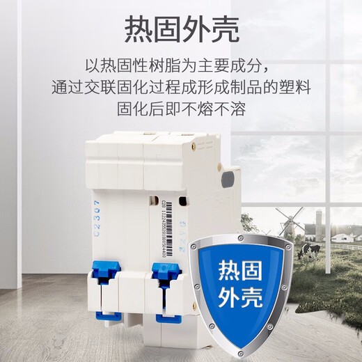 Chint (CHNT) leakage protector NXBLE series C-type leakage circuit breaker main gate NXBLE-32-2P-C10-30mA 32A 2P