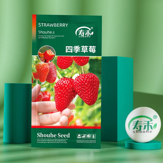 Shouhe Cream Strawberry Seeds Indoor Four Seasons Winter and Spring Potted Cream White Strawberry Winter and Spring Sowing Seeds Four Seasons Strawberry Seeds 200 capsules/bag