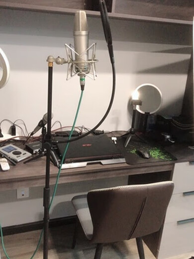 Lct240/249/440/449/280/840/940 Senran Microphone Disc Floor Stand Floor Stand + Shock Mount