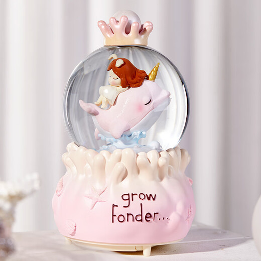 色豆（SEDOU）水晶球音乐盒八音盒生日礼物女生送男孩女孩7-14岁儿童玩具