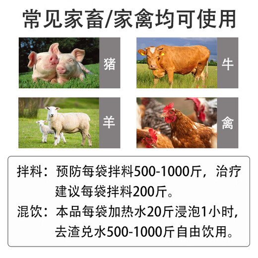 Fast selling veterinary isatis root powder for pigs, cattle, sheep, chickens, ducks, geese and pigeons, heat-clearing, detoxifying, cold and cough-resistant traditional Chinese medicine feed additives. 1 bag of 2 Jin Jin is equal to 0.5 kg. Pure traditional Chinese medicine preparation #No gift