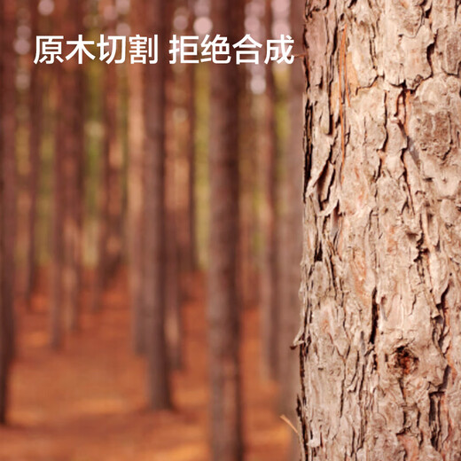 Made in Tokyo, imported wood from the United States, cedar wood strips, mothballs, scented wardrobe, insect-proof and moth-proof, 30 pieces