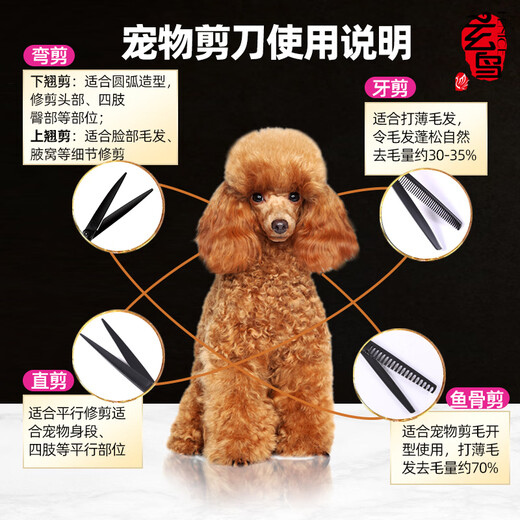 Blackbird pet scissors dog grooming shearing scissors small dog Teddy haircut straight scissors curved scissors teeth scissors fish bone scissors trimming fish bone scissors