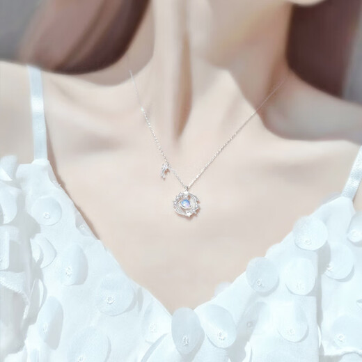VIGG Wish Meteor Silver Necklace Women's Pendant Valentine's Day Birthday Gift Confession Anniversary Gift for Girlfriend and Wife Jewelry Wish Meteor Necklace Jingcang Next Day Delivery