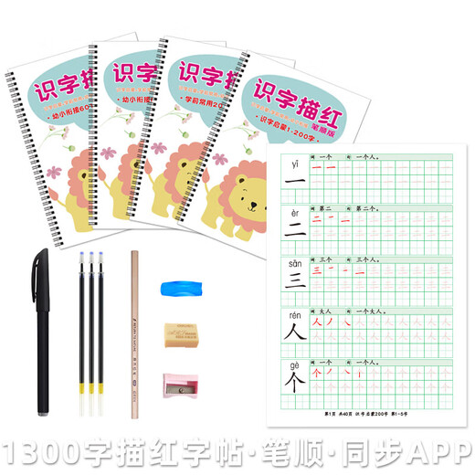 洪恩识字描红本字练字贴笔顺自制打印启蒙常用幼小衔接认字 第201-1300字 220张 分3本圈装
