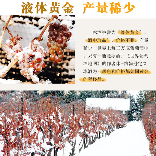 torbreck加拿大冰酒 原瓶进口VQA冰葡萄酒甜白甜红葡萄酒 雷司令晚收甜酒 冰白单支*1+冰红单支*1