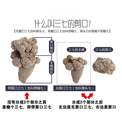 Leixiangzhuang Sanqi, Yunnan Wenshan, 37, keine Schnitte am 37. Kopf ohne Schnitte [60 Köpfe 500 Gramm - keine Schnitte]