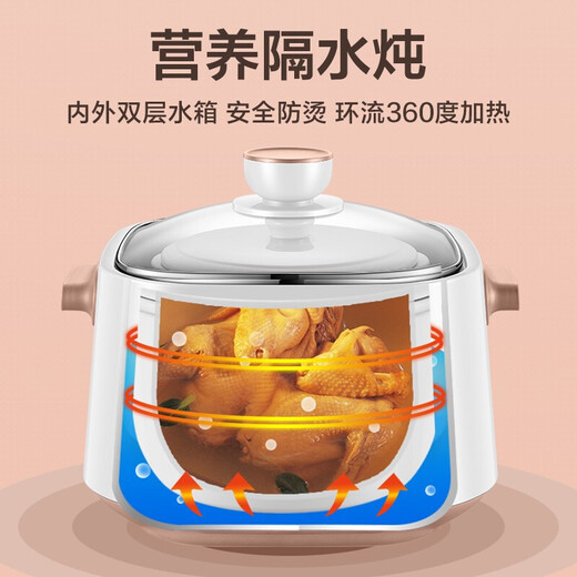 苏泊尔（SUPOR）电炖锅电炖盅煲汤锅炖汤锅白瓷炖锅 一锅五胆隔水炖 酒酿养生锅 【DZ25YC828】 2.5L 一锅五胆白瓷内胆