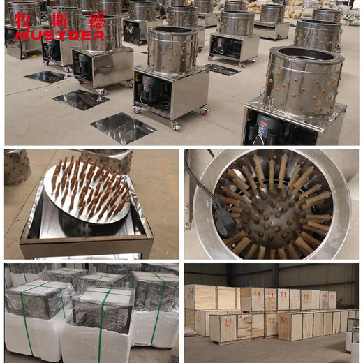 Mushide hair removal machine, fully automatic hair removal machine, turbine hair removal machine, small poultry stainless steel all-in-one machine, shipped after disinfection, 65 type hair removal machine