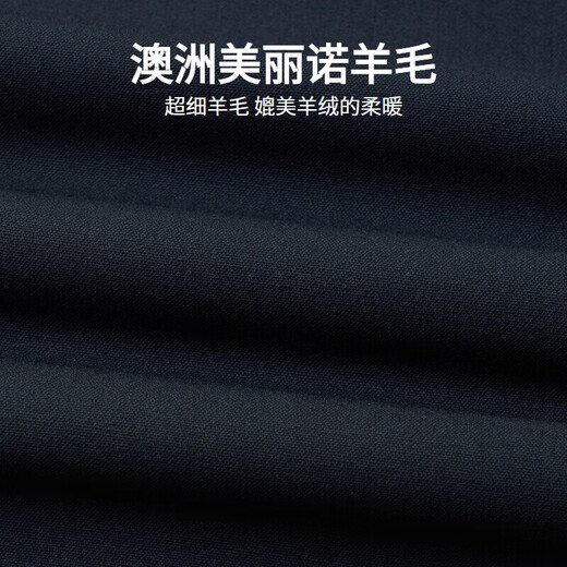 金利来【美丽诺羊毛】上班修身商务正装西服男西装外套新郎礼服 95藏蓝
