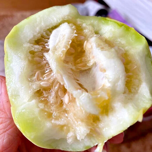 Shouhe melon seeds Shandong crispy Shouguang Boyang Dabaisha honey fruit sowing in winter and spring planting early maturing Fuji Tianbao melon seeds 2g