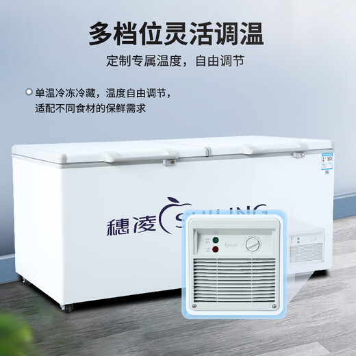 穗凌冰柜商用冰柜大容量卧式冷柜 冷藏冷冻可转换 商用冰箱雪柜餐饮店大排档酒店后厨适用商用冷柜 【-25℃~10℃】BD-828