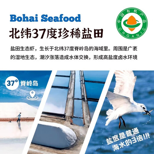 Taihuhai organic prawns, antibiotic-free salt field shrimps, fresh and frozen prawns, pregnant and baby tongbaobao, Spring Festival products, organic shrimps 1200g (net weight)