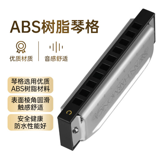 天鹅（SWAN） 10孔布鲁斯口琴升级款银色C调