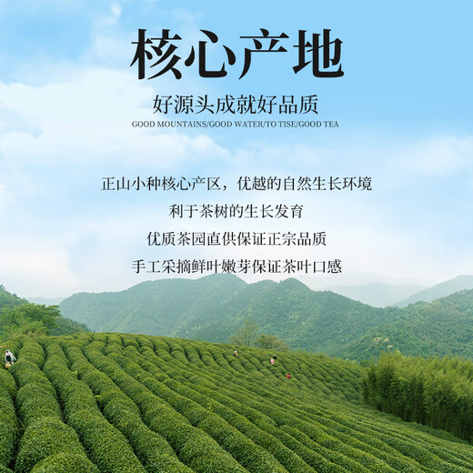 The first Jiangnan black tea Wuyi Zhengshan small-spring special grade 500g new tea strong fragrance tea gift box canned spring tea high-end gift gift