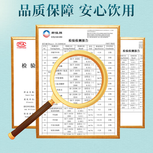 安溪铁观音特级新茶清香型铁观音尝鲜茶叶独立包装礼盒装 【安溪溯源】店长力荐清香500g