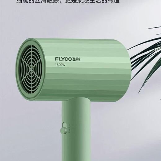 博锐飞科电吹风机家用大功率速干负离子护发宿舍用冷热风可折叠恒温吹 飞科吹风机FH6296 1800W