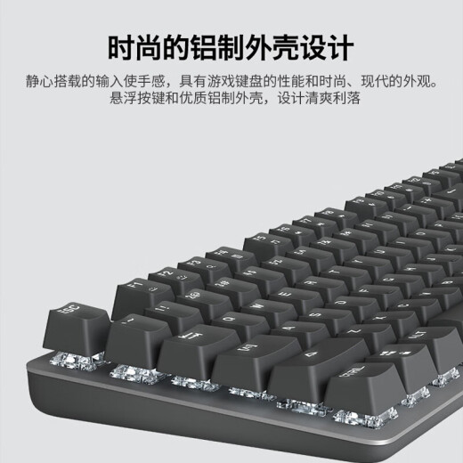罗技（Logitech）K845机械键盘 有线游戏电竞机械键盘 104键全尺寸 电脑办公键鼠套装 K845(茶轴)+G102