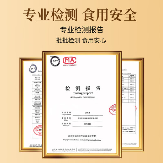 林宝仙珍有机灵芝孢子粉礼盒500g 长白山灵芝粉送长辈健康礼品年货礼盒