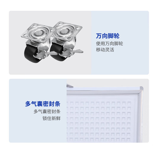穗凌冰柜商用冰柜大容量卧式冷柜 冷藏冷冻可转换 商用冰箱雪柜餐饮店大排档酒店后厨适用商用冷柜 【-25℃~10℃】BD-828