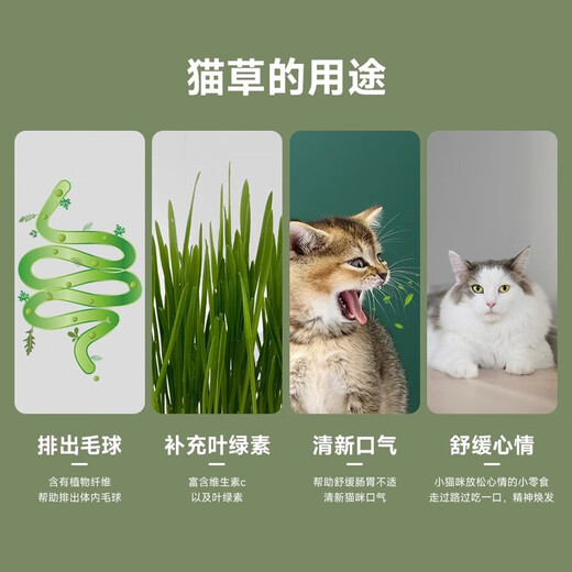 Hippie dog (hipidog) cat grass potted wheat seed nursery tray, lazy hydroponic hair ball, adult cat and kitten snacks, cat supplies, instant noodle cat grass