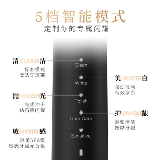 Lion SMARTKEY Sonic Vibration Electric Toothbrush Waterproof Rechargeable Couple 1 Body + 2 Brush Heads Magnetic Levitation Electric Toothbrush 1 Extremely Black