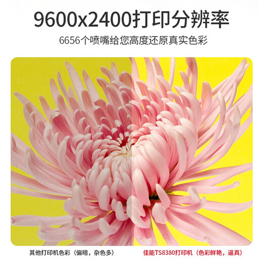 佳能（Canon）TS8380t无线打印机一体机彩色喷墨六色照片复印扫描多功能双面商用连供无线 TS8380红色t（6色双面无线+打印复印扫描） 套餐一（易加墨大墨盒+6瓶墨水+大礼包