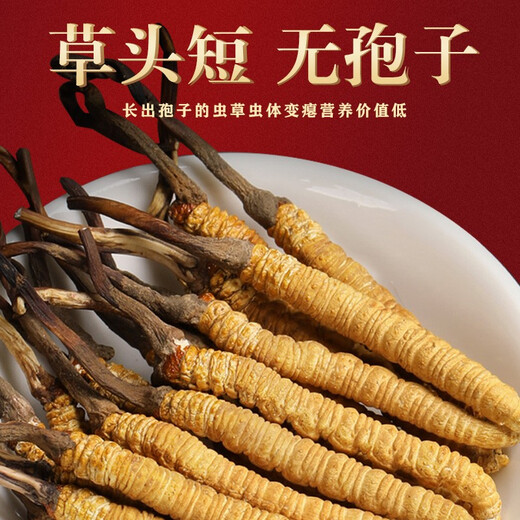 山威 冬虫夏草5克 精选一级品质4条/g虫草礼盒送领导见贵人高端礼物