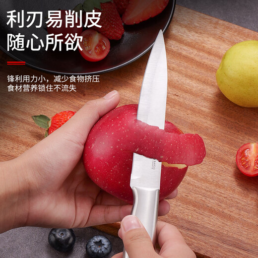 拜格（BAYCO）不锈钢水果刀家用削皮刀刨皮刀全钢西瓜刀削皮器便携小刀XY90101