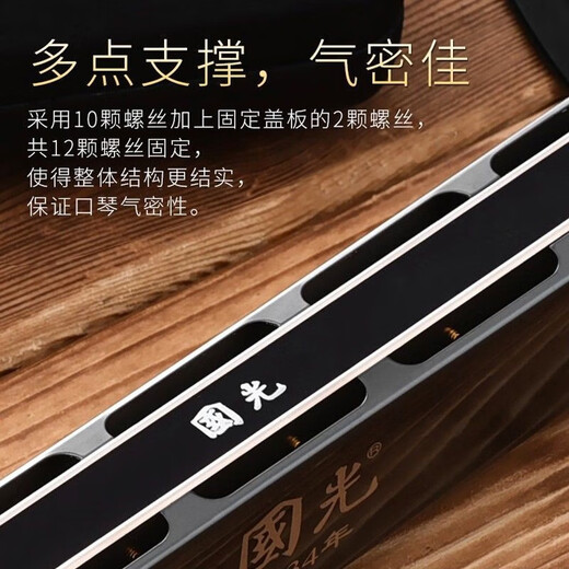 国光德国进口音簧专业演奏级重音C调复音口琴高级成人高端殿堂送礼 24孔 蓝色复音C调【专业演奏级】