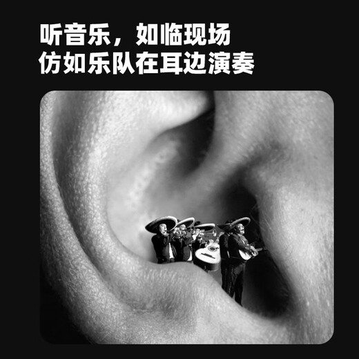 Edifier (EDIFIER) HECATE GM360 wired gaming headphones in-ear noise-canceling dual dynamic computer mobile phone music e-sports earbuds 3.5mm interface black + Android Type-c adapter cable