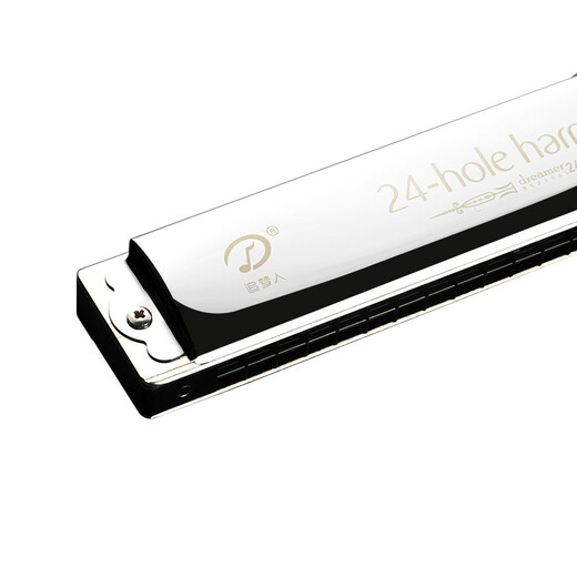 Swan (SWAN) 24-hole polyphonic harmonica Dream Chaser 2409 imported gongs for adults and children professional playing harmonica C key silver