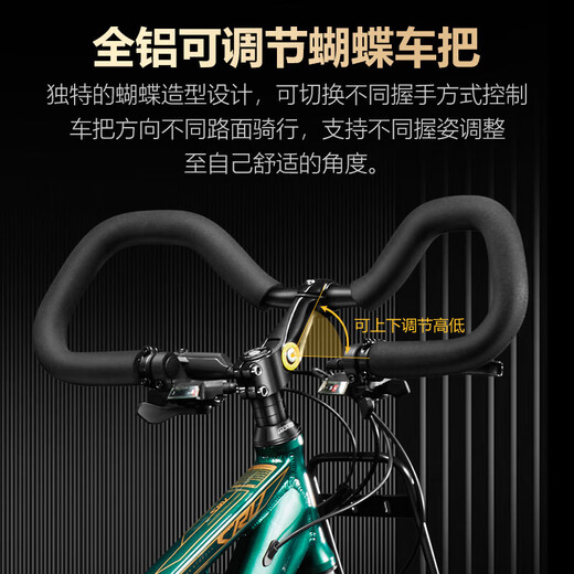 菲利普山地车长途旅行自行车成年人700c公路车川藏线越野变速公路山地车 CRV星耀黑【蝴蝶把-可锁前叉】 33速【油碟】27.5寸
