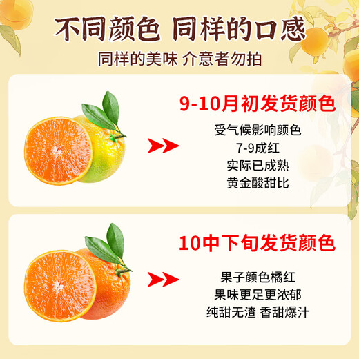 桦萱四川爱媛38号果冻橙【发出多地隔日达】眉山甜柑橘子水果礼盒 5斤A+级大果【60-70mm】净4.5斤