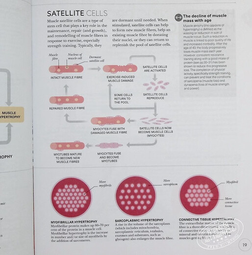 DK Science of Strength Training 英文原版Austin Current
